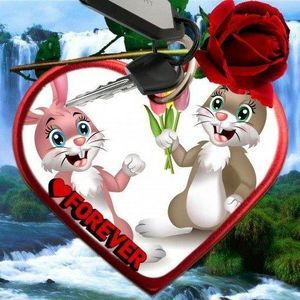 Meet your Posher, Mirna